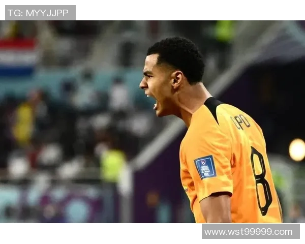 加克波的崛起之路：从青涩小将到足球场上的闪耀明星