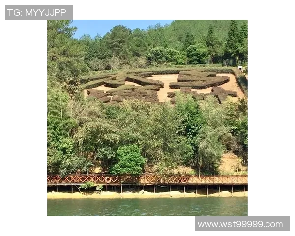 罗凯文的成长之路：从普通少年到卓越领袖的奋斗历程与心路历程