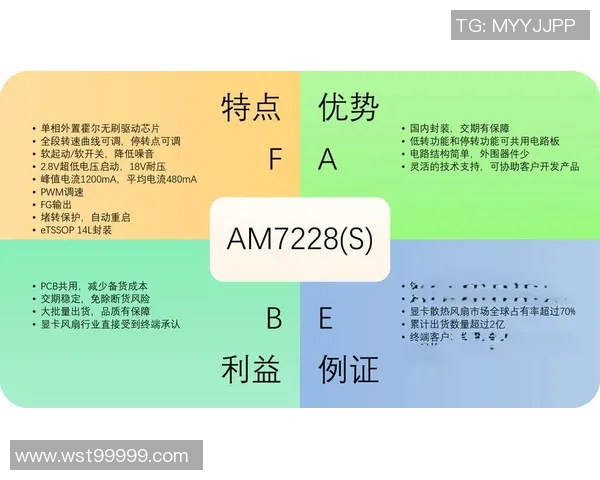 am和vs哪个更好选择适合自己的工具提升工作效率的关键分析